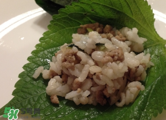 紫蘇和羅勒是一種東西嗎？紫蘇葉對(duì)人體有什么好處