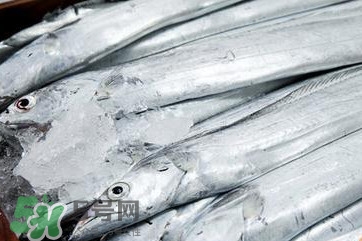 帶魚是深海魚嗎？帶魚是海鮮嗎