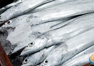 帶魚是深海魚嗎？帶魚是海鮮嗎