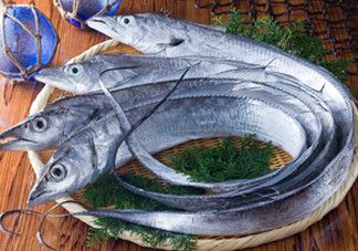 帶魚是咸的嗎？帶魚是無鱗魚嗎