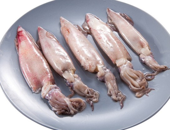 章魚是魷魚嗎？章魚和魷魚有什么區(qū)別