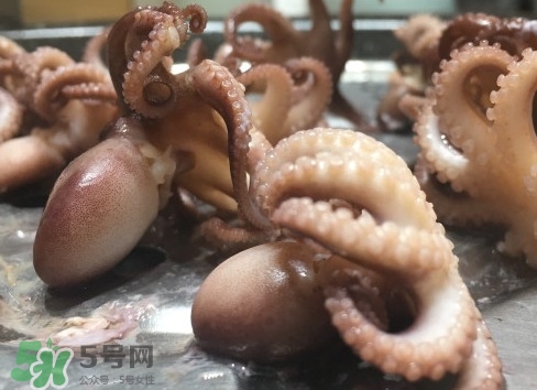 八爪魚怎么做好吃？八爪魚怎么保存
