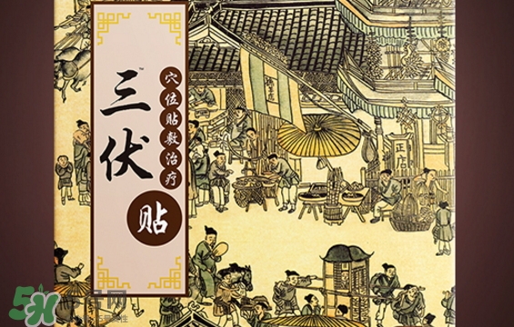 貼三伏貼可以游泳嗎？貼三伏貼游泳有什么壞處？