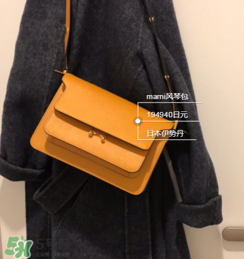 marni風(fēng)琴包尺寸多大？marni風(fēng)琴包尺寸有幾種？