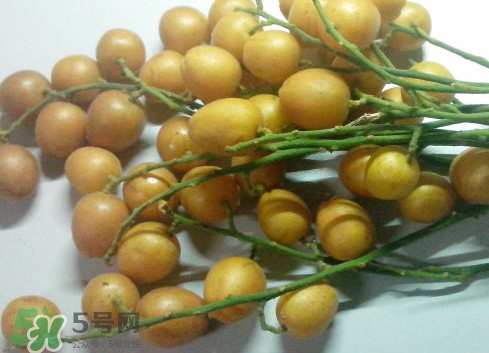 黃皮果可以放冰箱嗎？黃皮果可以放多久