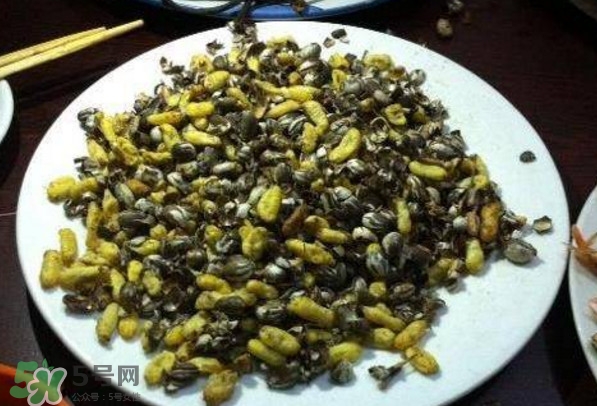 洋辣子是什么？洋辣子能吃嗎？