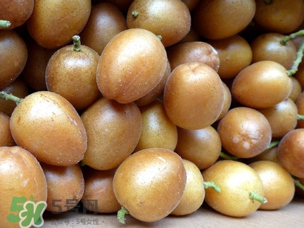 黃皮可以吃皮嗎？黃皮果可以帶皮吃嗎