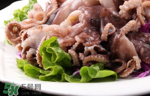 八爪魚是魷魚嗎？八爪魚是章魚嗎