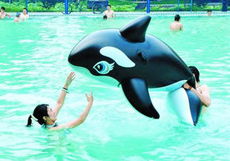 三伏天可以游泳嗎？三伏天游泳會有濕氣嗎？