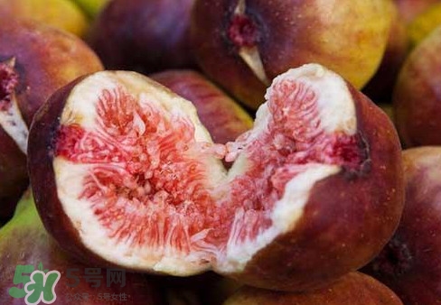 無花果能治痔瘡嗎？無花果怎樣吃治痔瘡？