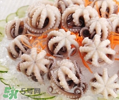 八爪魚為什么有大米？八爪魚為什么有墨汁