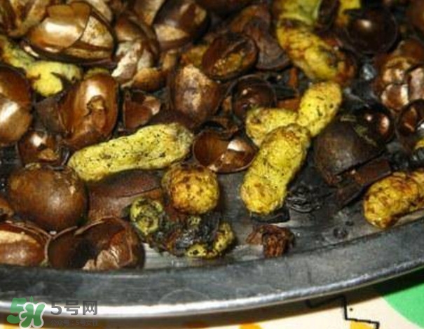 洋辣子是什么？洋辣子能吃嗎？