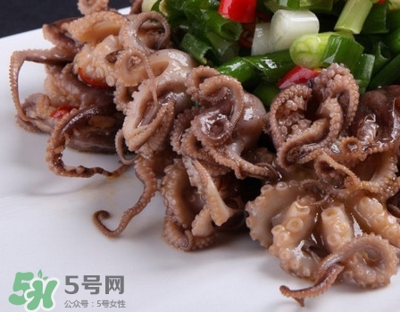 八爪魚怎么做好吃？八爪魚怎么保存