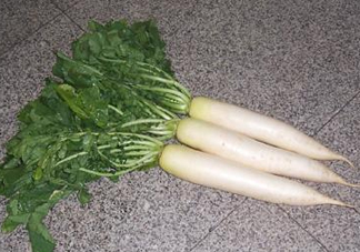 頭伏蘿卜二伏菜是什么意思？頭伏種什么菜？