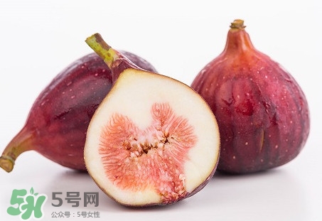 無花果喜陽還是喜陰植物？無花果吃多會(huì)怎么樣