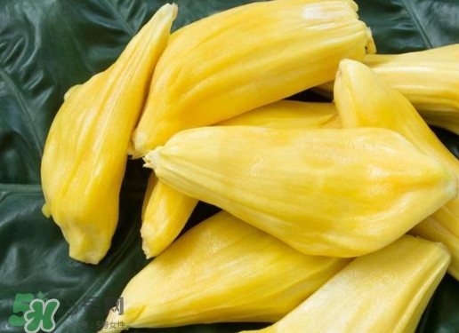 木菠蘿買來(lái)怎么吃？木菠蘿吃多了會(huì)怎樣？