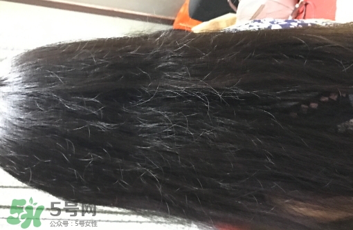 mm魔法梳和tt梳子哪個(gè)好？michel mercier和tangle teezer魔法梳