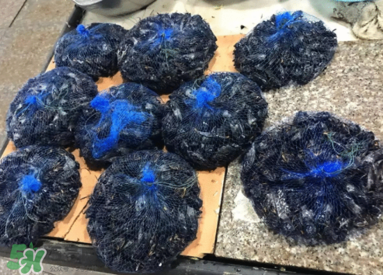 知了多少錢一斤？知了多少錢一斤2017？