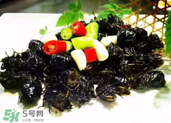 知了多少錢一斤？知了多少錢一斤2017？