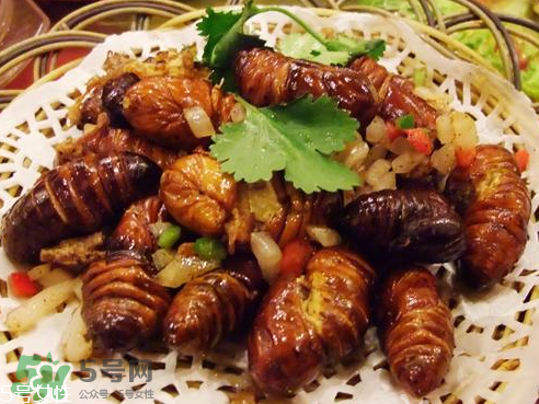 油炸知了猴有毒嗎？油炸知了猴的等與砒霜