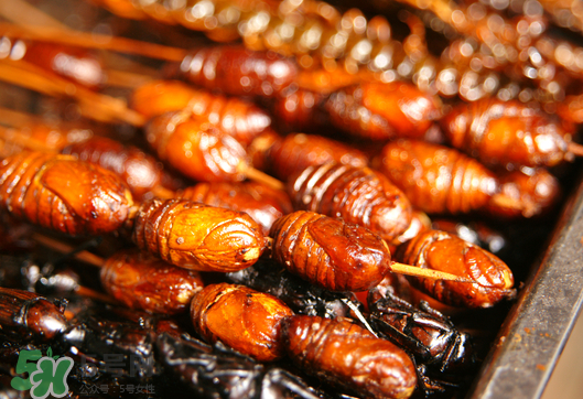 油炸知了猴幾分鐘？油炸知了猴怎么做好吃？