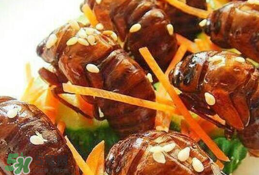 油炸知了猴幾分鐘？油炸知了猴怎么做好吃？