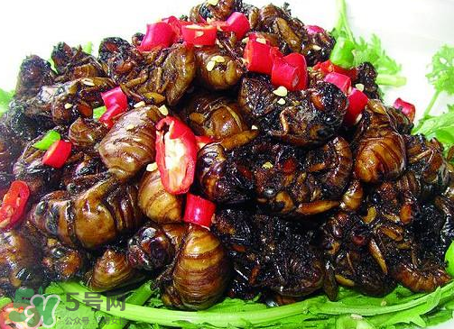 知了猴多少錢一個？油炸知了猴多少錢一盤？