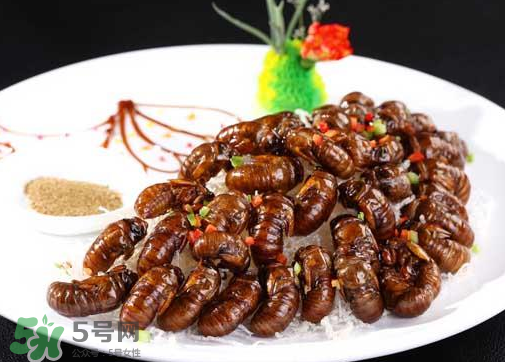 知了不能和什么一起吃？知了猴不能和什么同吃？