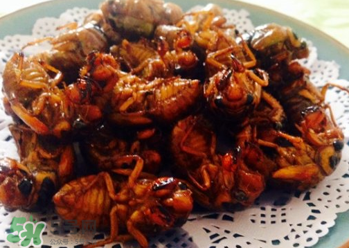 知了不能和什么一起吃？知了猴不能和什么同吃？