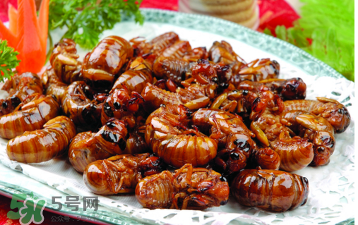 知了不能和什么一起吃？知了猴不能和什么同吃？