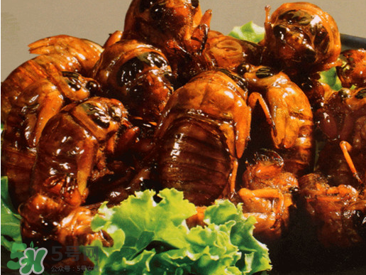 知了猴怎么吃？知了猴什么人不能吃？