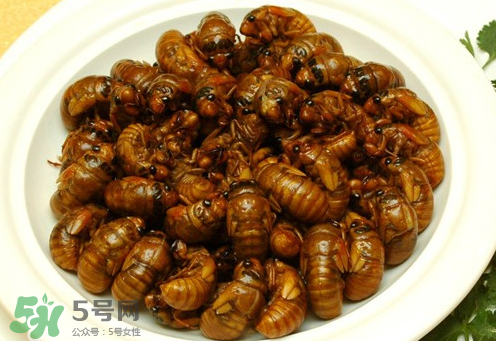 知了猴可以和雞蛋一起吃嗎？知了和雞蛋可以一起吃嗎？