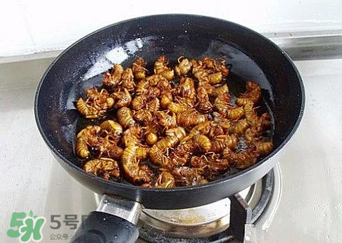 知了猴可以和雞蛋一起吃嗎？知了和雞蛋可以一起吃嗎？