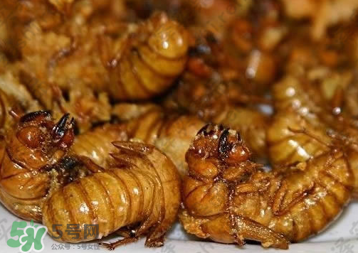 知了猴可以和雞蛋一起吃嗎？知了和雞蛋可以一起吃嗎？