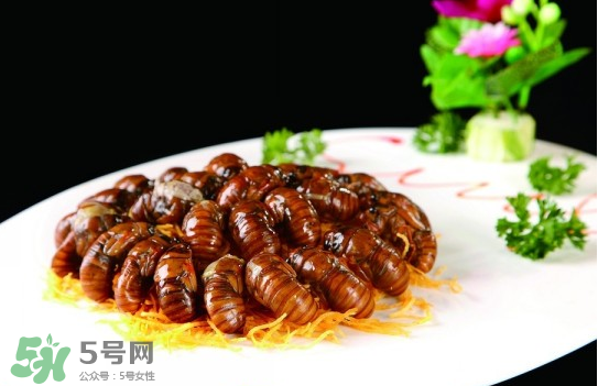 知了猴孕婦可以吃嗎？孕婦能吃知了猴嗎？