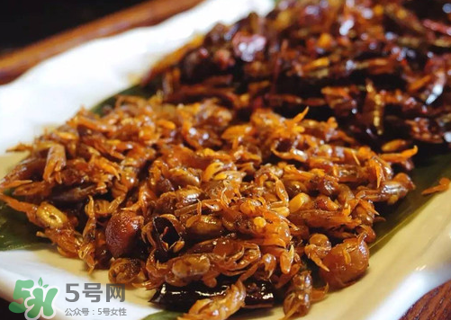 知了猴可以放冰箱嗎？知了猴可以冷凍嗎？