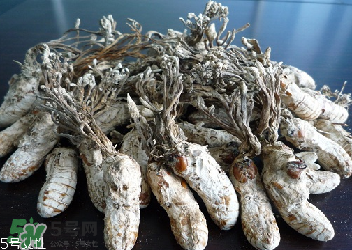 金蟬花多少錢一斤？2017金蟬花價(jià)格