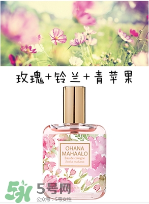 ohana mahaalo香水是什么牌子？ohana mahaalo在哪買？