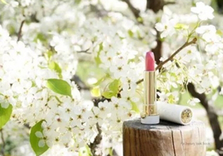 tatcha梅子粉好看嗎？tatcha白管口紅梅子粉試色