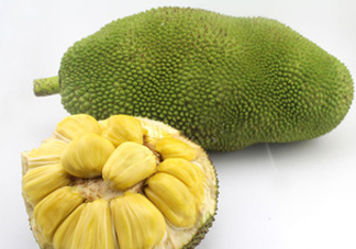 木菠蘿買來怎么吃？木菠蘿吃多了會怎樣？