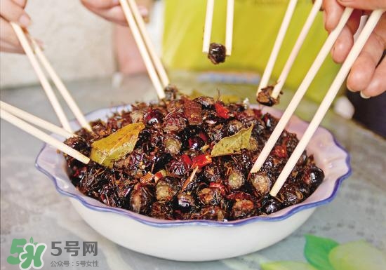 知了猴孕婦可以吃嗎？孕婦能吃知了猴嗎？