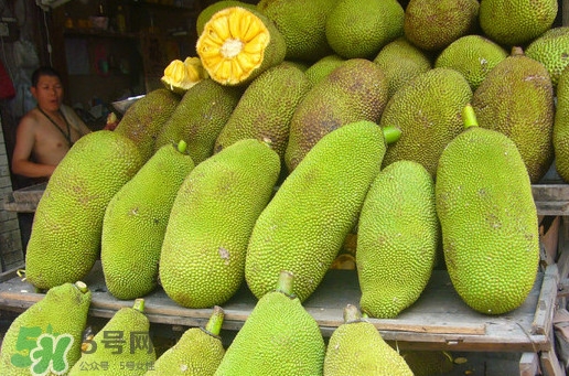 木菠蘿買來(lái)怎么吃？木菠蘿吃多了會(huì)怎樣？