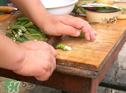 豆丹做菜前怎么處理干凈？豆丹怎么養(yǎng)殖