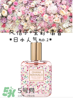 ohana mahaalo香水是什么牌子？ohana mahaalo在哪買？