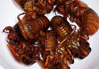 知了猴多少錢一個？油炸知了猴多少錢一盤？