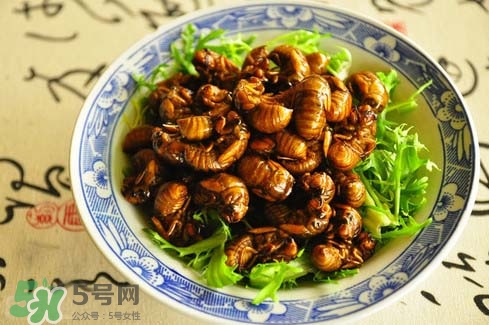 金蟬多少錢一斤？金蟬多少錢一斤2017？