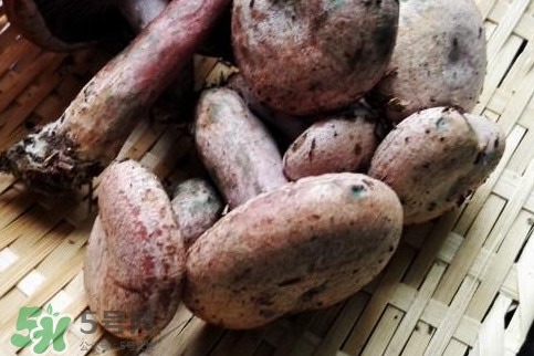 重陽菌怎么做好吃？吃重陽菌有什么好處