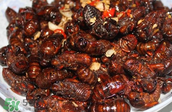 油炸知了猴幾分鐘？油炸知了猴怎么做好吃？