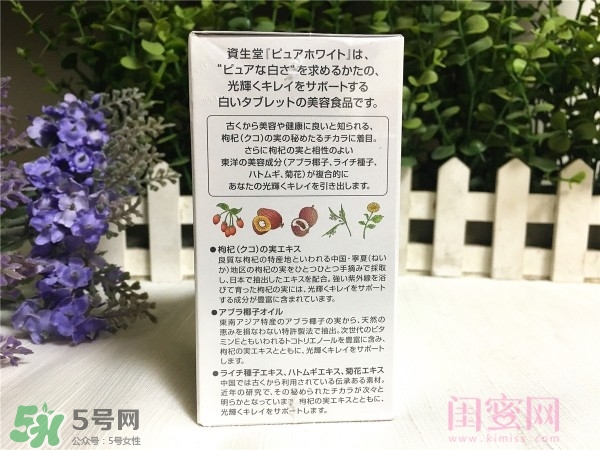 資生堂美白丸成分 資生堂美白丸副作用 資生堂美白丸成分 資生堂美白丸副作用