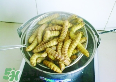 豆丹做菜前怎么處理干凈？豆丹怎么養(yǎng)殖